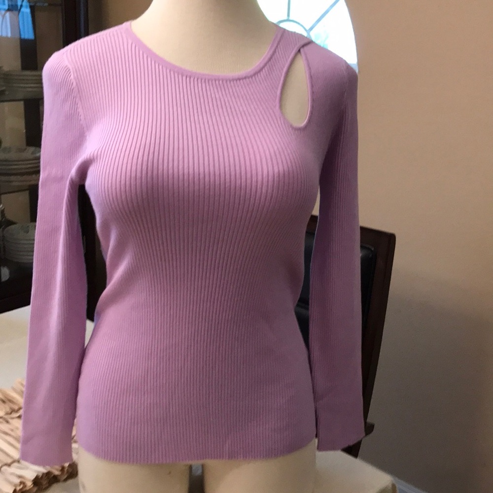 NWT INC International Concepts Sweater
